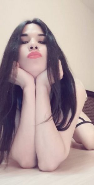 Escort trans Андина 